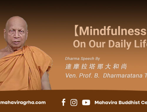 【Mindfulness】 On Our Daily Life